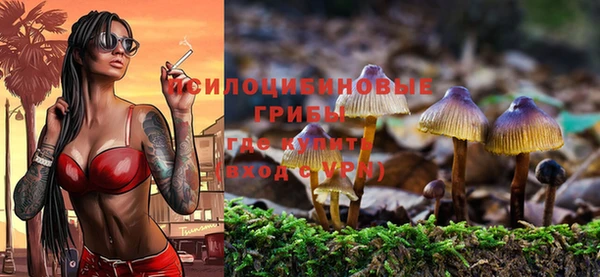 MDMA Premium VHQ Гусь-Хрустальный