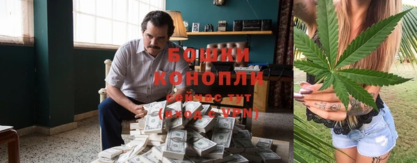 стафф Михайловск